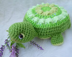 Teri Crews Designs - Simply Cute Turtle