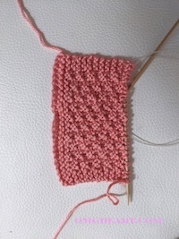 Pocket Tissue Holder in Moss Stitch