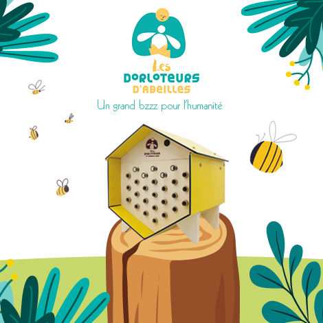 Les abeilles sauvages - Les Dorloteurs d'Abeilles