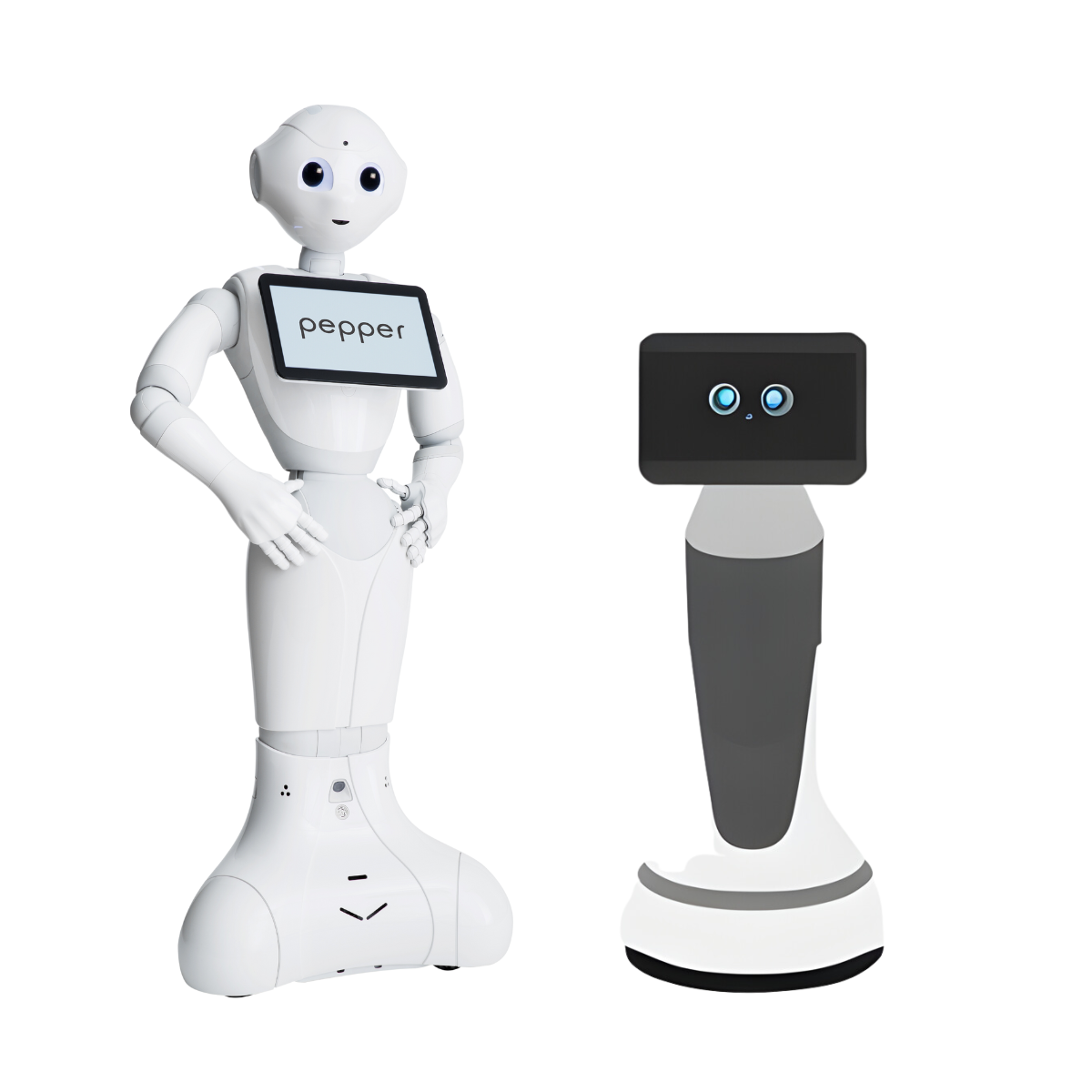 Robot Leobotics - Robot Accueil Reception