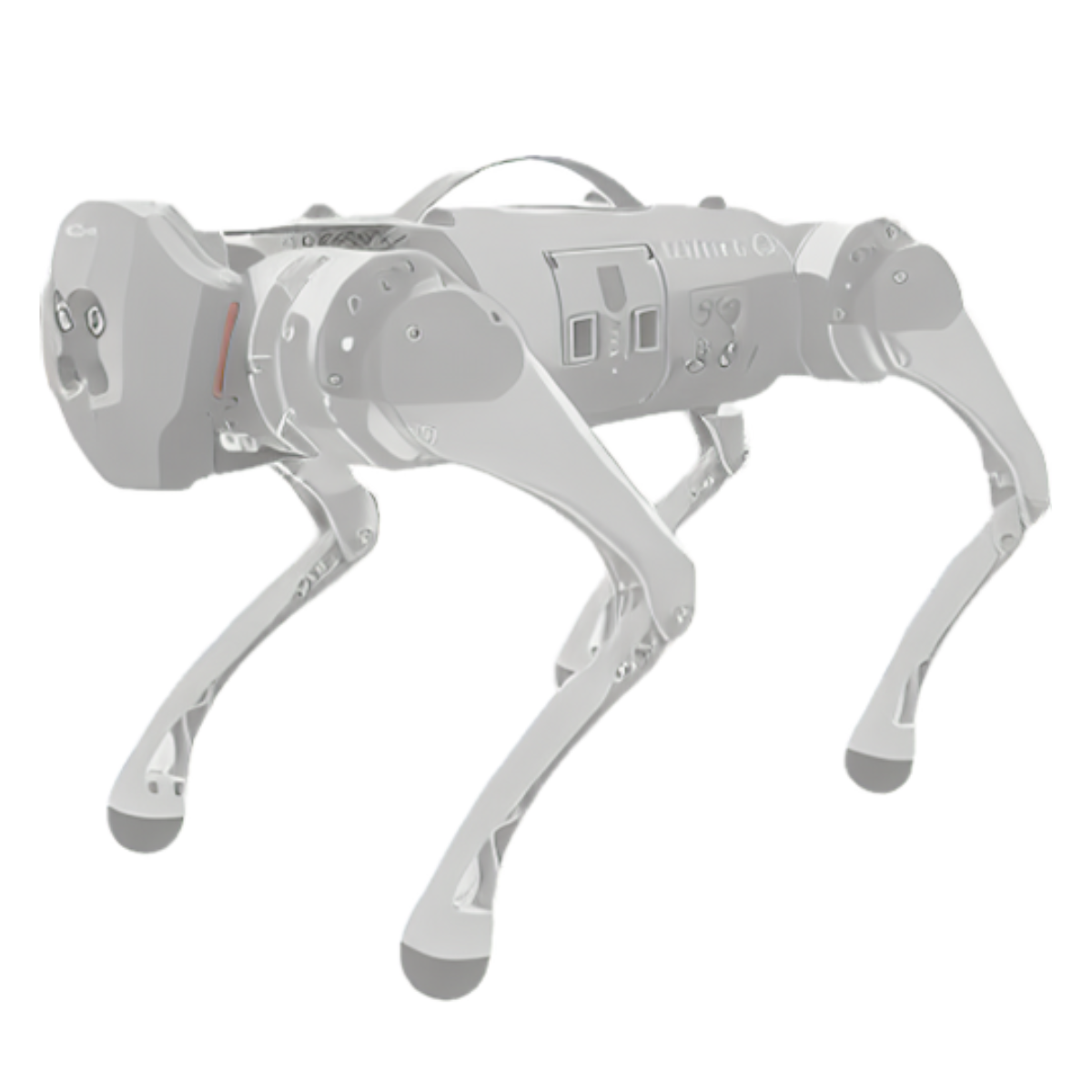 Robot Leobotics - Robot Biomimetisme