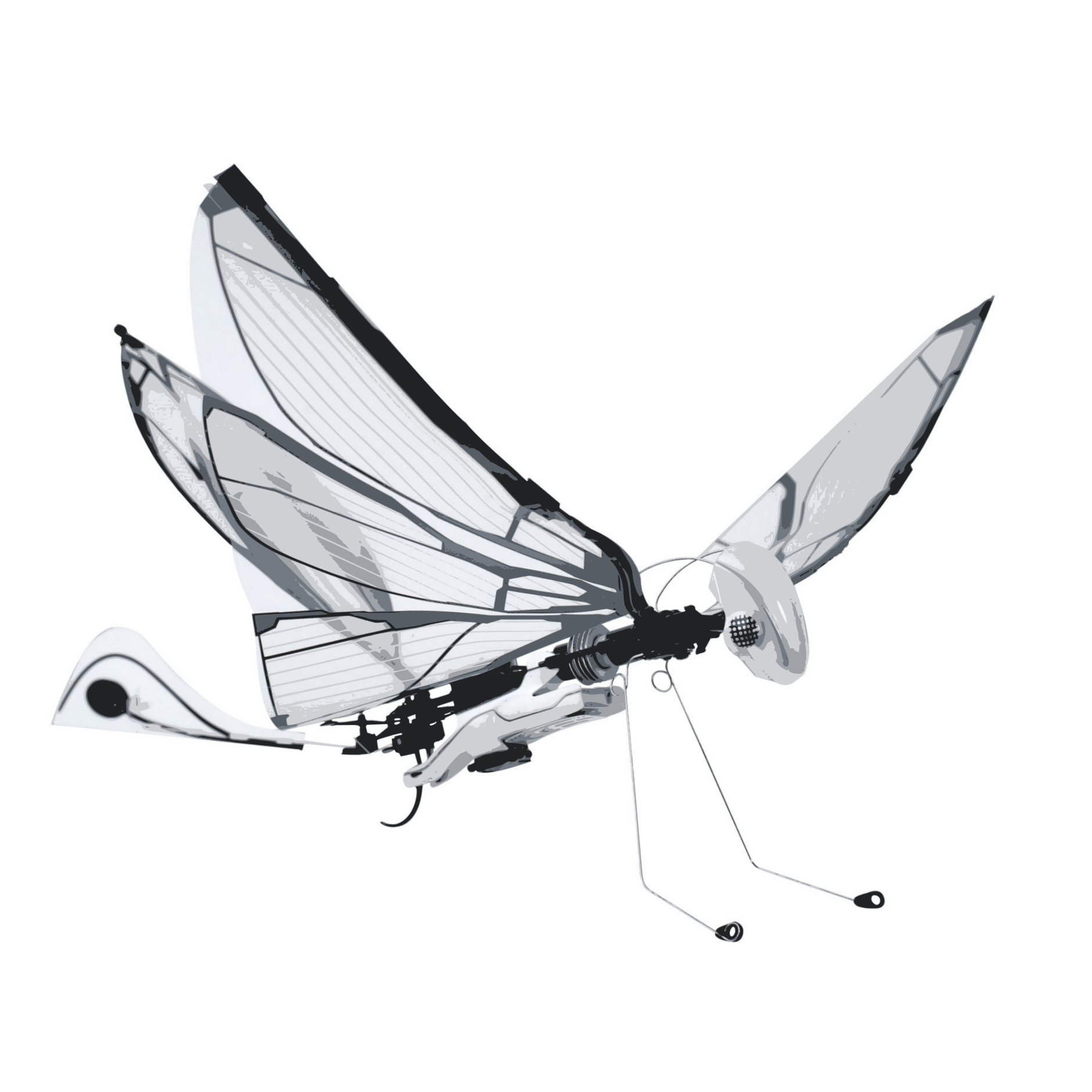 Robot Leobotics - Robot Insecte