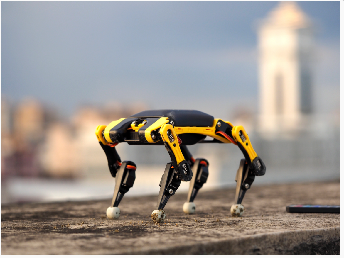 Robot Leobotics - Kit Robot Chat Mini Stem Loisir Open Source Bitlle Petoi Opencat A Monter Et A Programmer 6