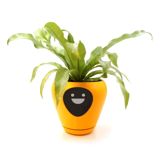 Pot de fleur robot objet connecté Lua Mu Design
