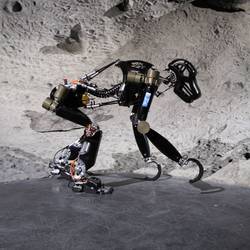 Robot Leobotics - Rd Spatial Biomimétisme Dfki Robotics Innovation Center 1