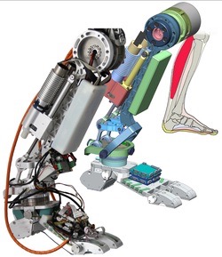 Robot Leobotics - Rd Spatial Biomimétisme Dfki Robotics Innovation Center 3 Petite