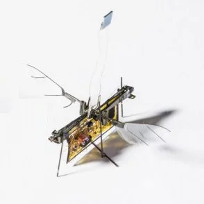 Recherche et Développement robot Biomimétisme Autonomous Insect Robotics Lab