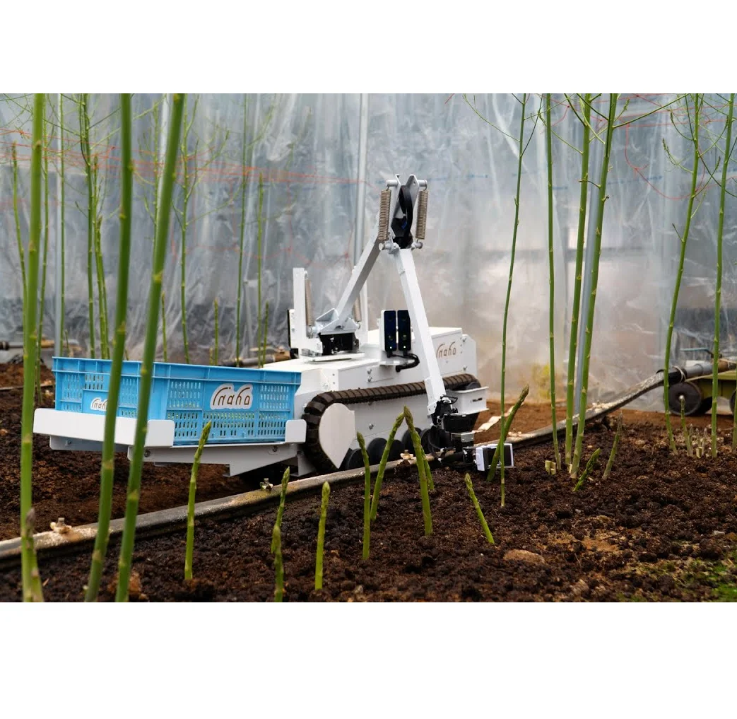 Robot Agriculture Inaho Inc autonomous asparagus harvesting robot ver3 efficace autonome pour les tomates