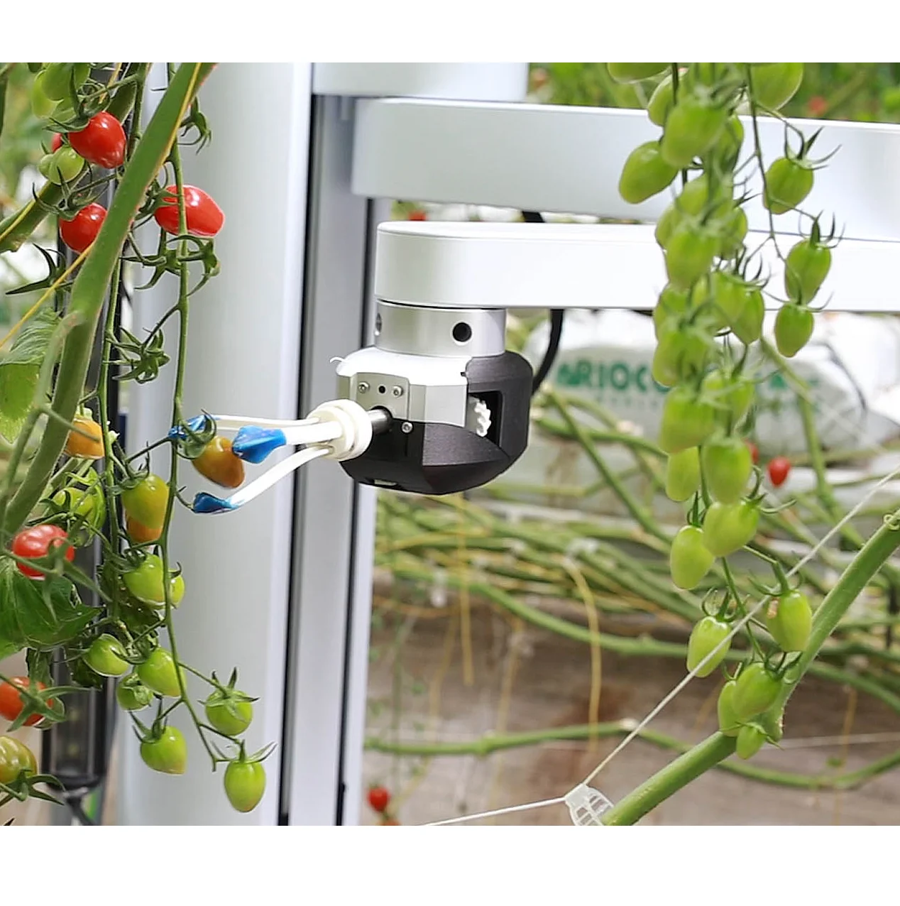 Robot Agricole Root AI Virgo détection en temps réel intelligent - Image 2