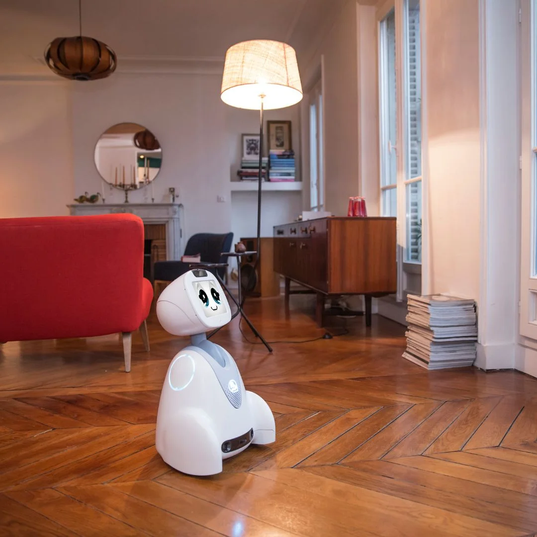 Robot assistant compagnon surveillance Buddy Pro Blue Frog Robotics - Image 5