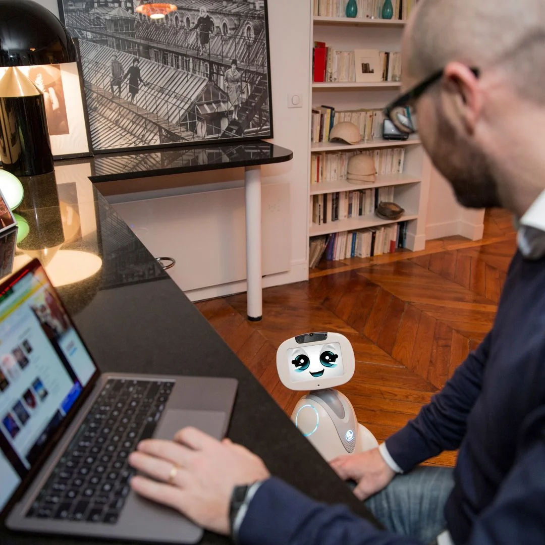 Robot assistant compagnon surveillance Buddy Pro Blue Frog Robotics - Image 6