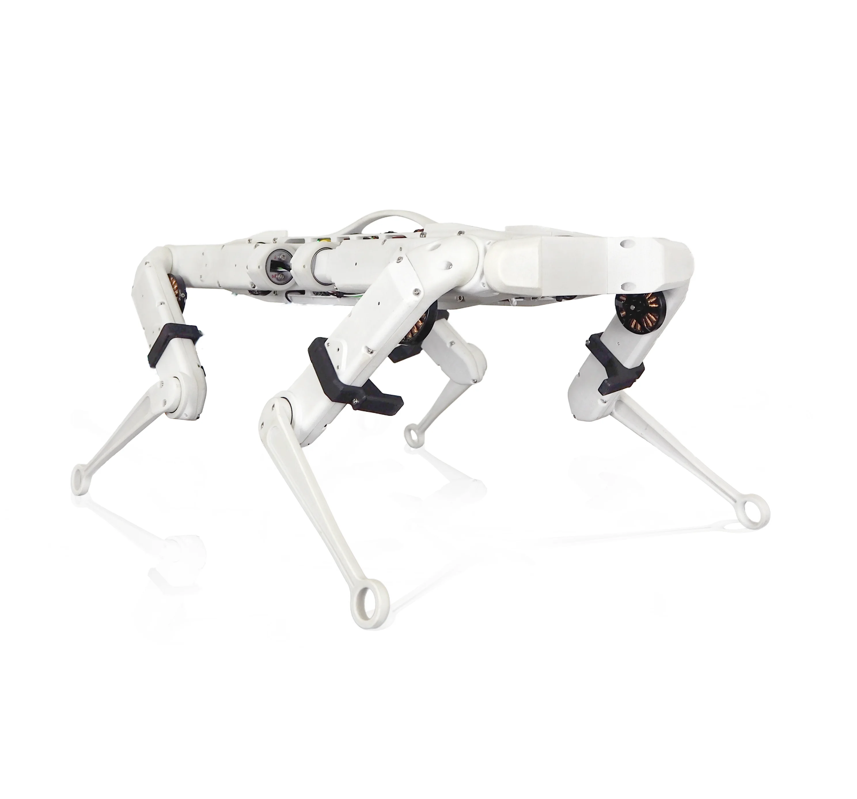 Robot biomimétisme PAL Robotics Solo12 quadrupède grande amplitude de mouvement open source