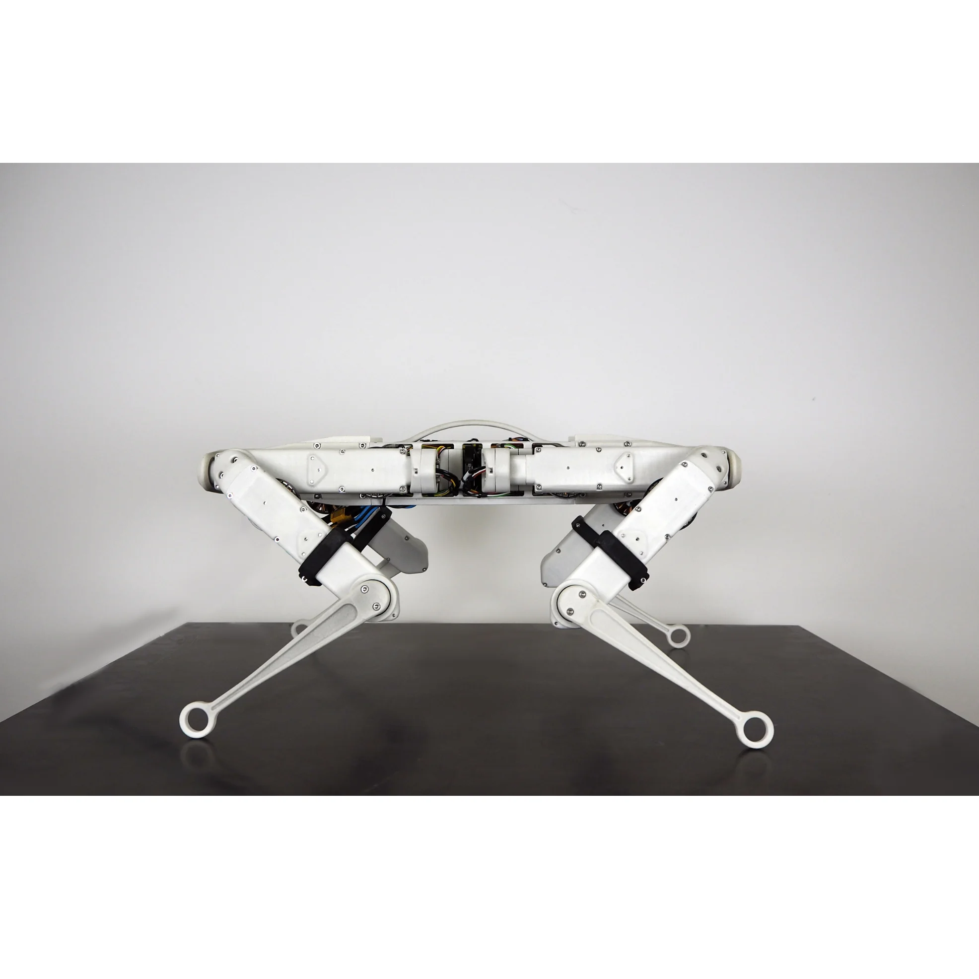 Robot biomimétisme PAL Robotics Solo12 quadrupède grande amplitude de mouvement open source - Image 2