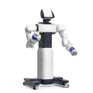 Robot collaboratif double bras DSCR5 Siasun - Image 2