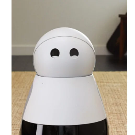 Robot compagnon à la maison Kuri Mayfield Robotics