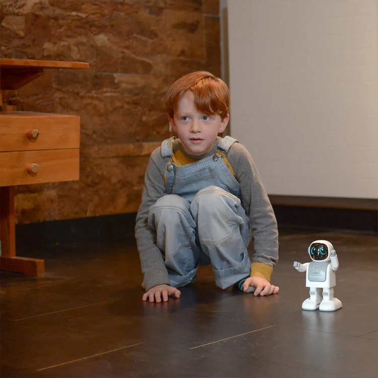 Robot Leobotics - Robot Compagnon Danseur Autonome Kidyrobot Kidywolf 2
