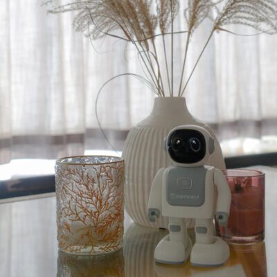Robot compagnon danseur autonome Kidyrobot Kidywolf