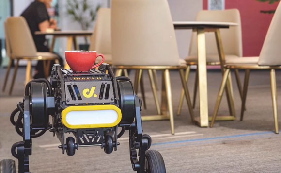 Robot Construction Programmation 2 roues auto-équilibrage Diablo World Direct Drive