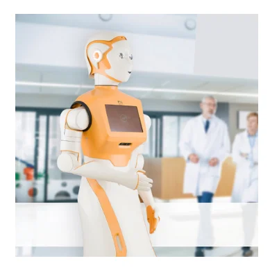 Robot Humanoïde Pal Robotics Ari puissant intelligent social perception cognition - Image 2