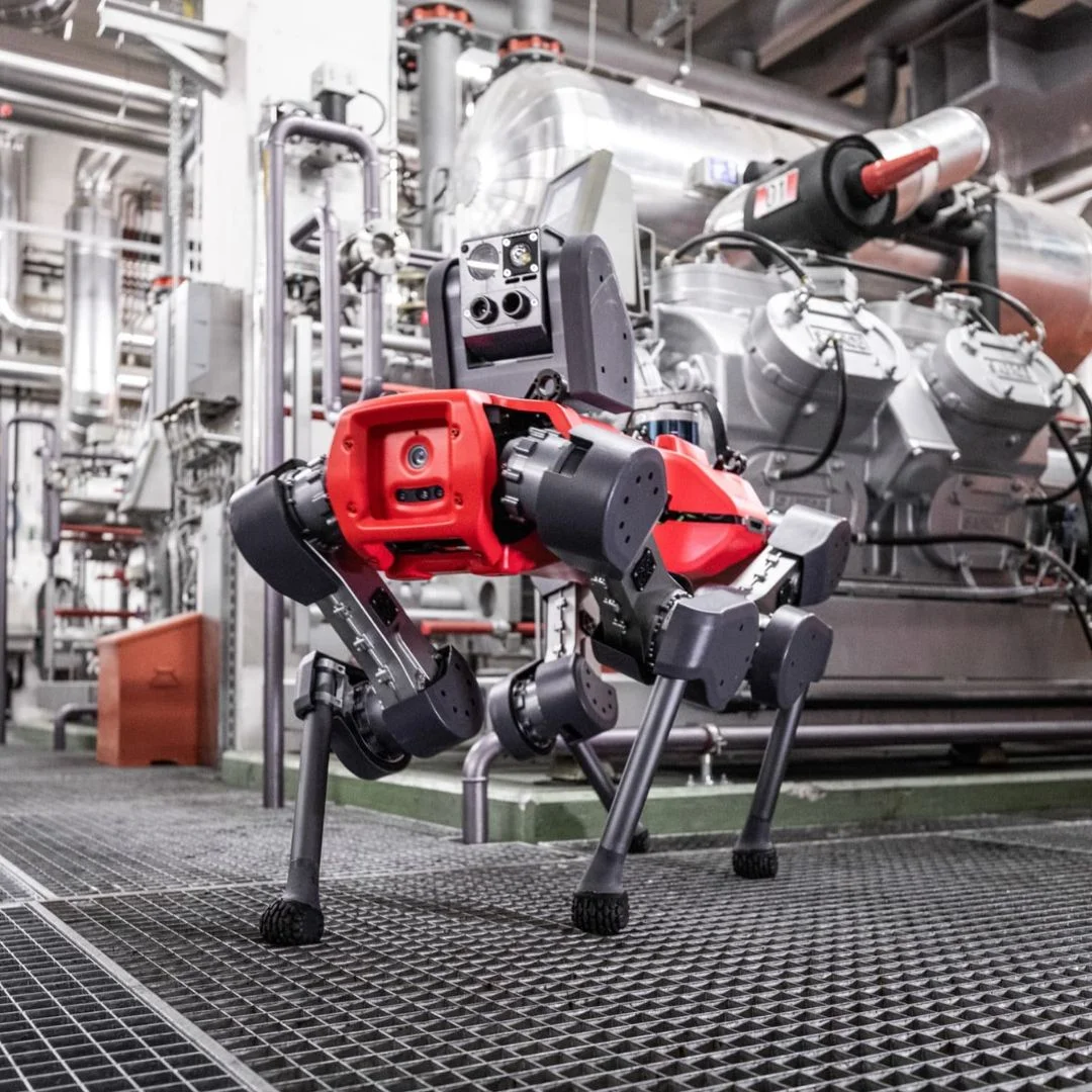 Robot quadrupède ANYmal ANYbotics - Image 4
