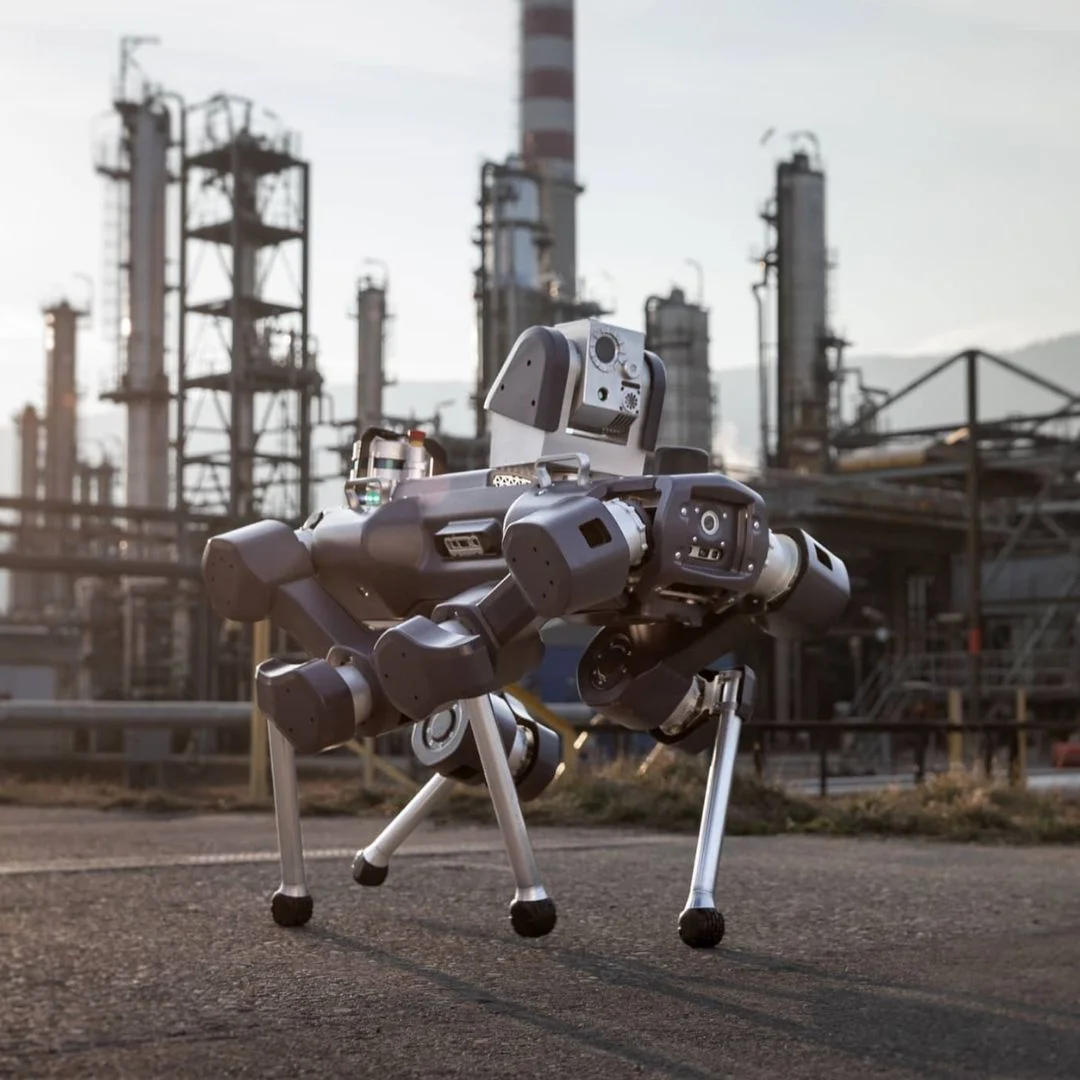 Robot quadrupède ANYmal ANYbotics - Image 3