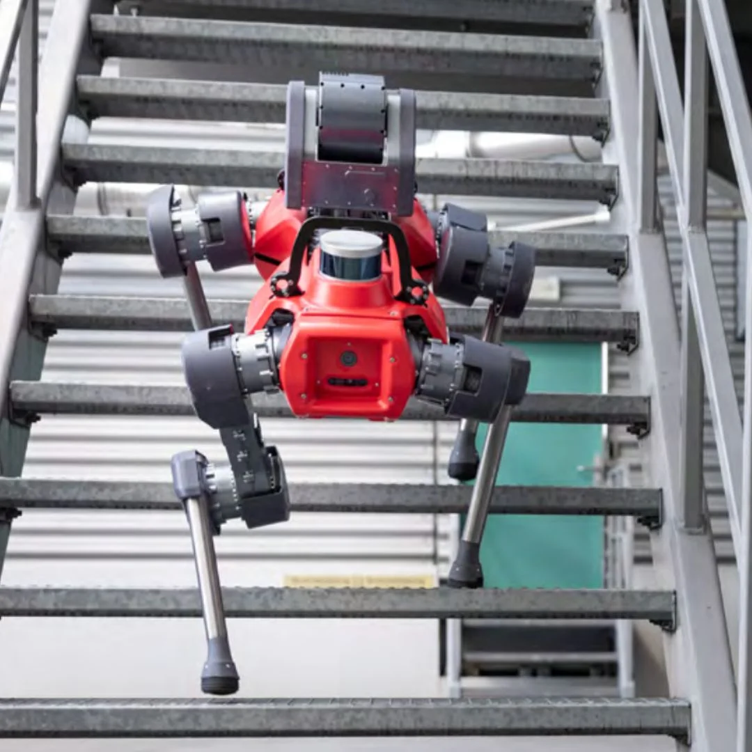 Robot quadrupède ANYmal ANYbotics - Image 2
