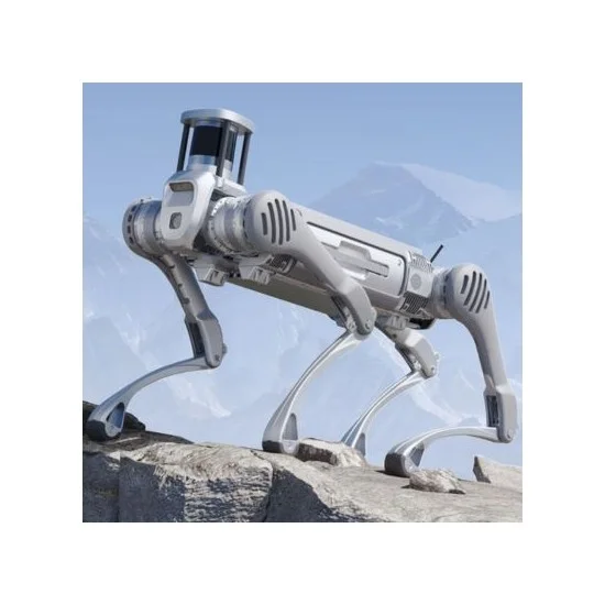 Robot Quadrupède ultra performant B2 Unitree Robotics - Image 2