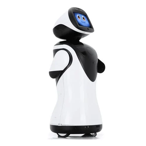 Robot Réception Inbot Technology PadBot P3 capte danse guidage prévention de collisions - Image 2