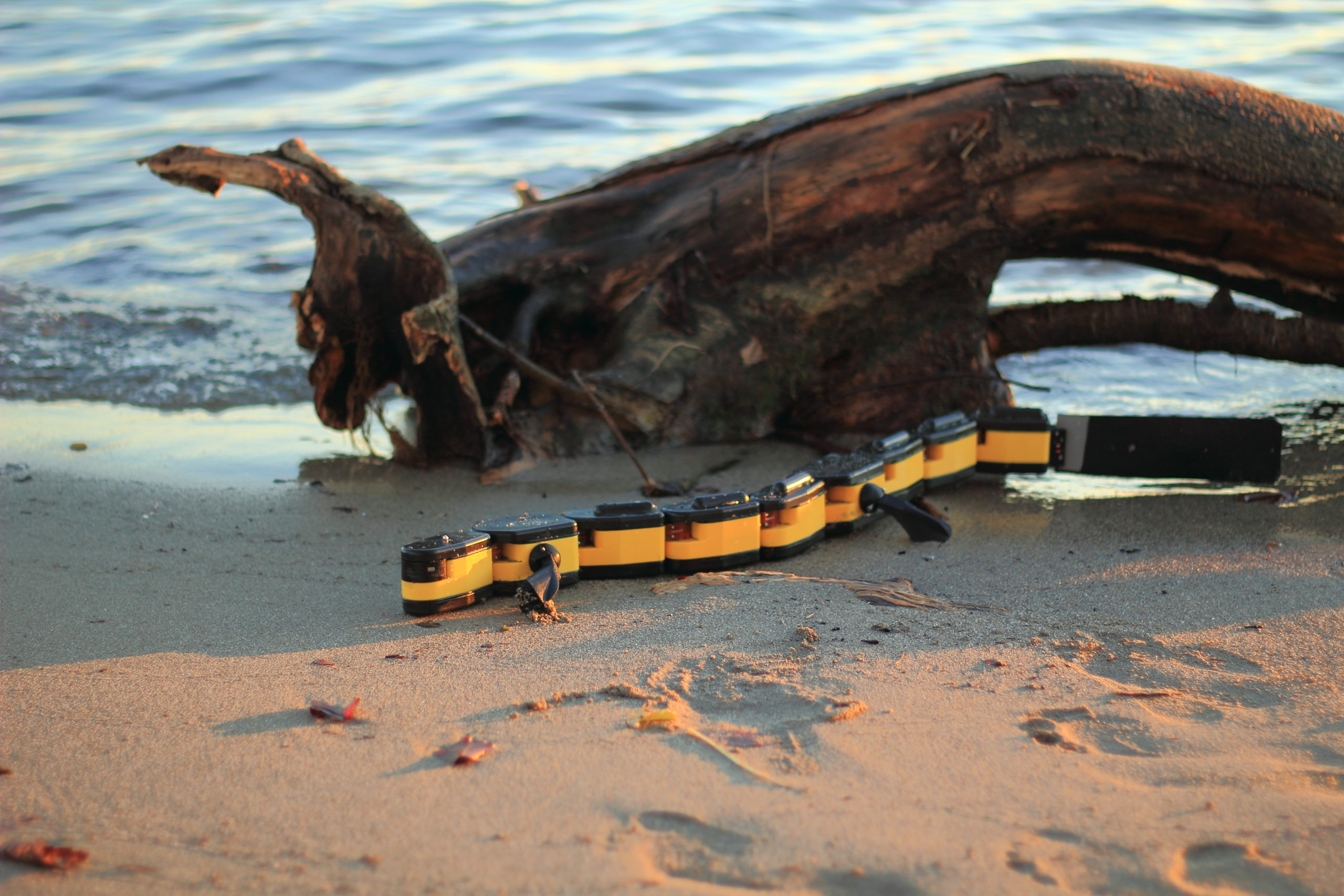 Robot Leobotics - Robot Recherche Salamandra Robotica Epfl 3 2 Scaled