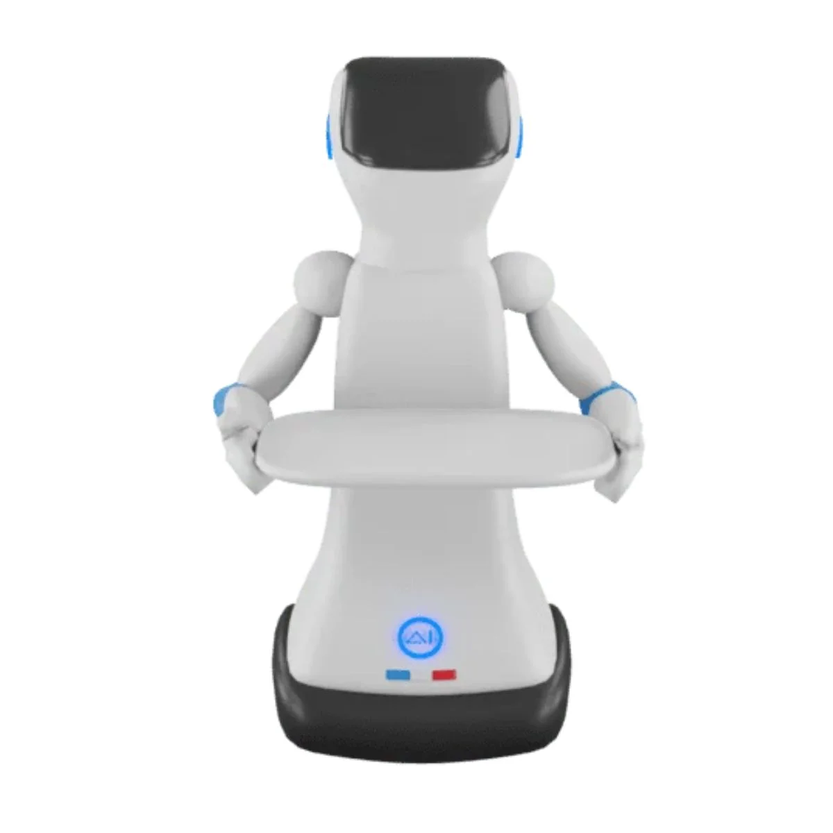 Robot de Service Compagnon Domestique Connecté Stellar AI robotics
