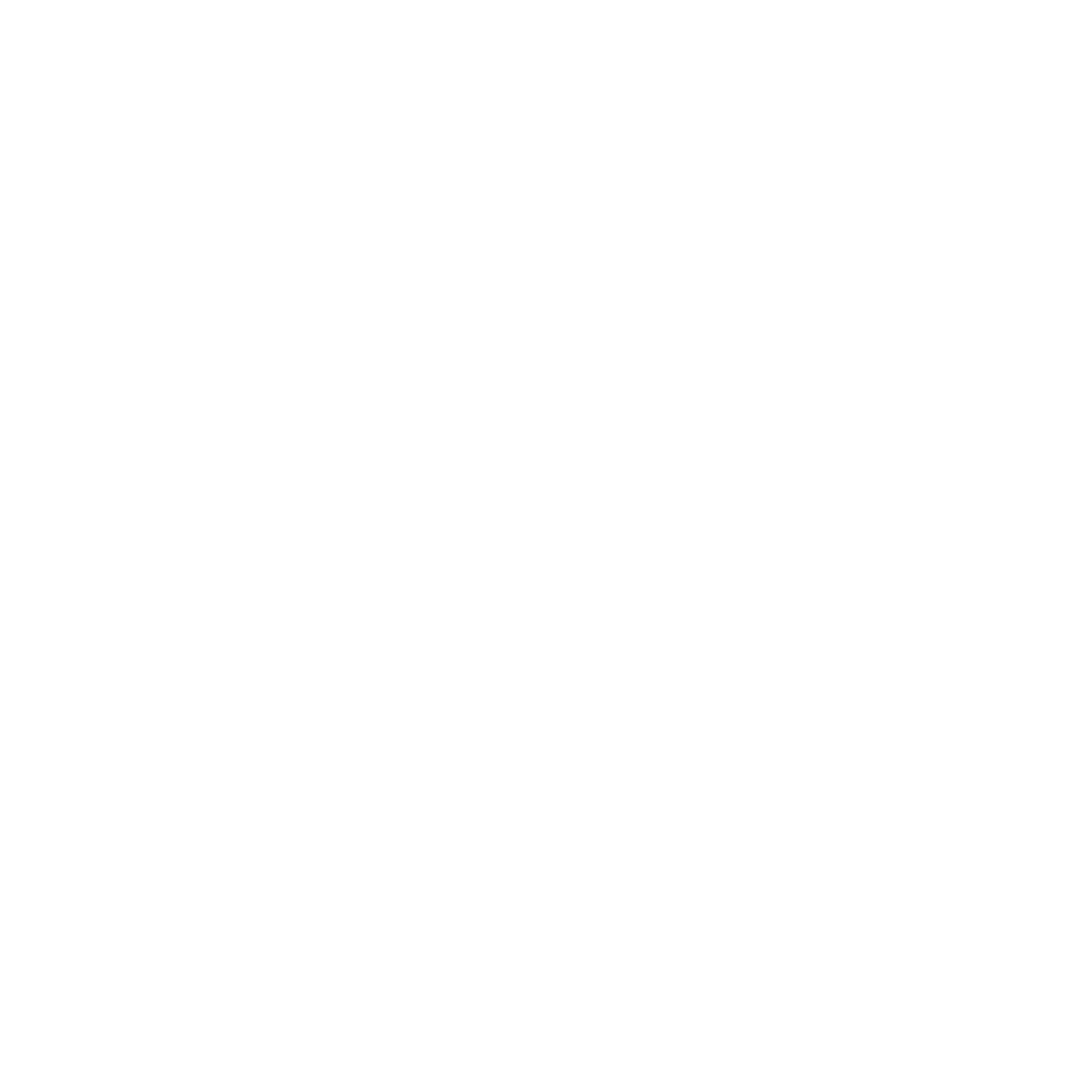 Logo de Conseils et Expertises Services Leobotics 1