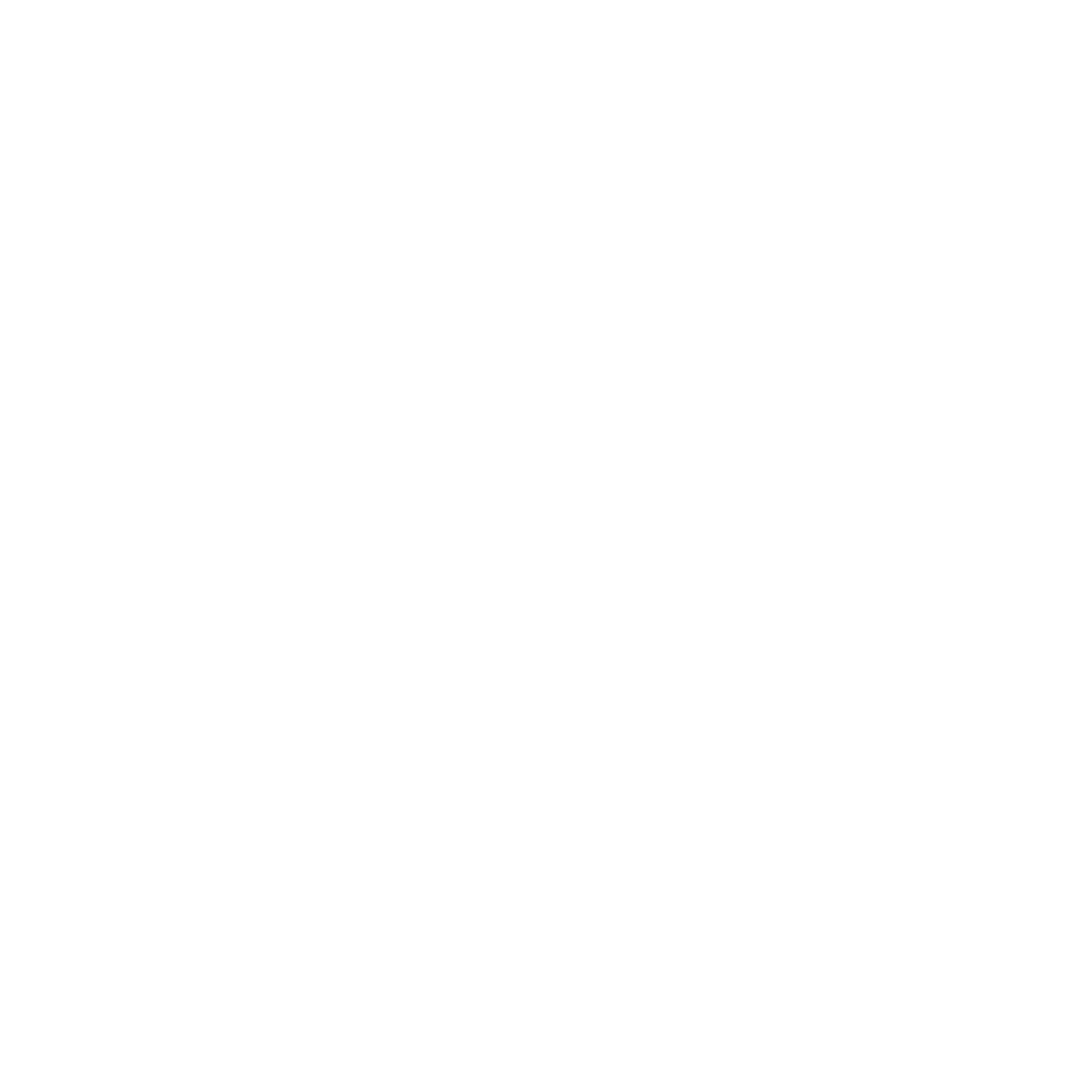 Logo de Conseils et Expertises Services Leobotics 3