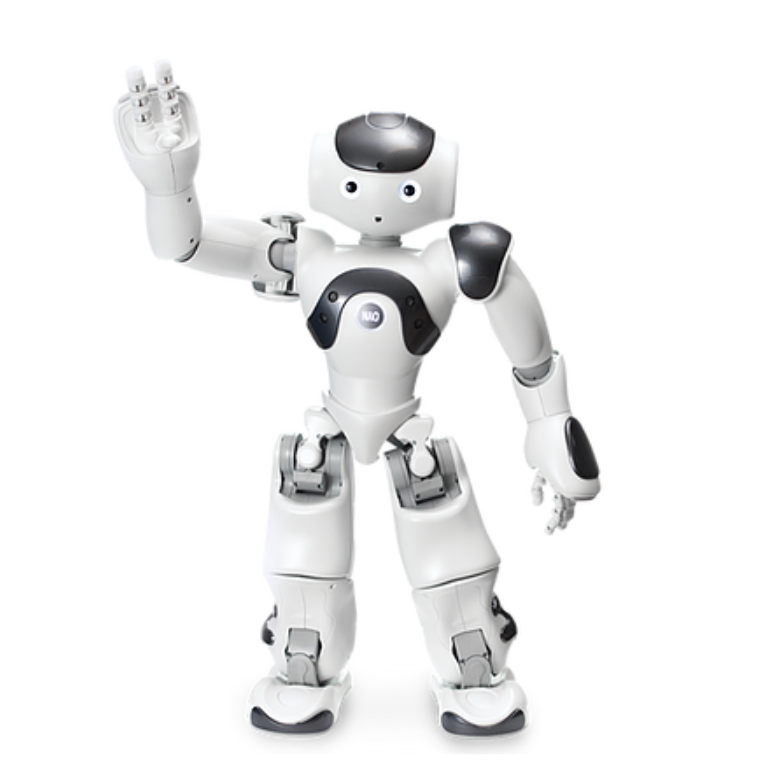 Persönlicher Assistenzroboter