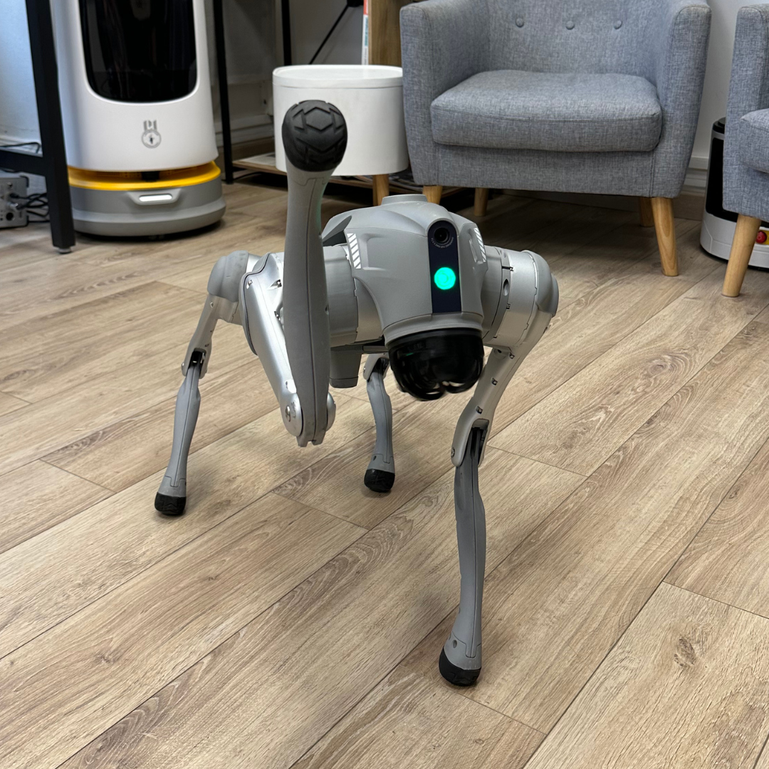 Lernroboter-Begleiter Robin ZoraBots, Bürounterhaltung, für Empfang und Forschung & Entwicklung + schlüsselfertige Partnersoftwarelösung – Alpha mini Ubtech