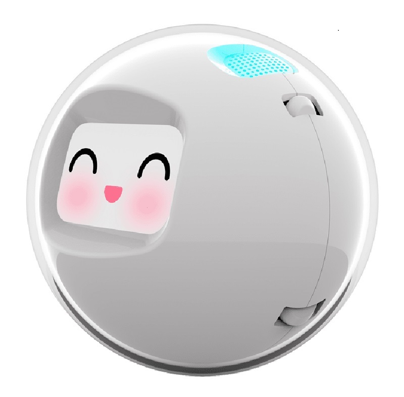 Persönlicher Assistenzroboter