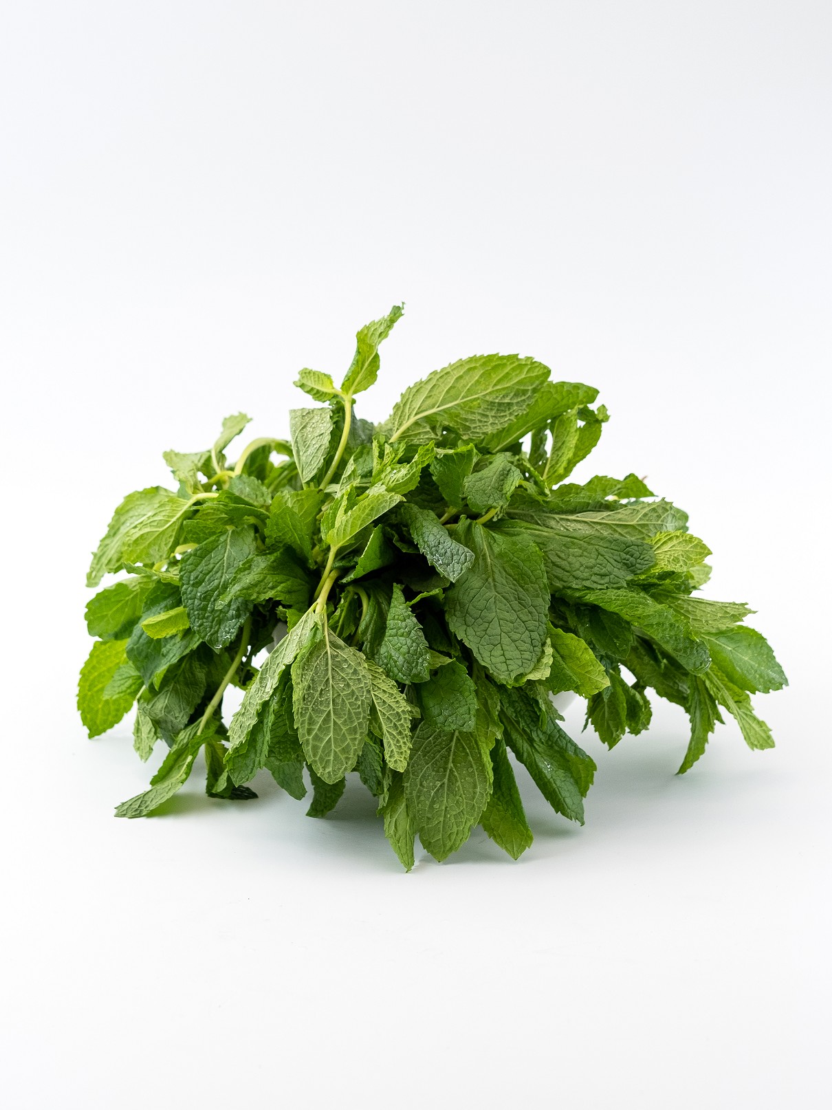 Mint leaf