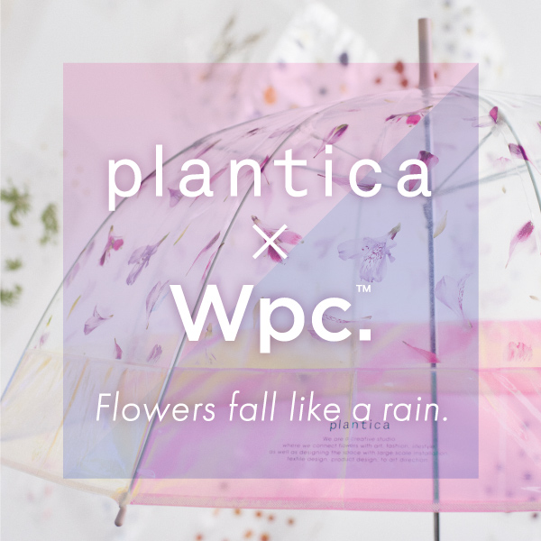 plantica×Wpc. シャイニー生地に花びらが舞い落ちる「フラワーアンブレラ プラスティックシャイニー」発売