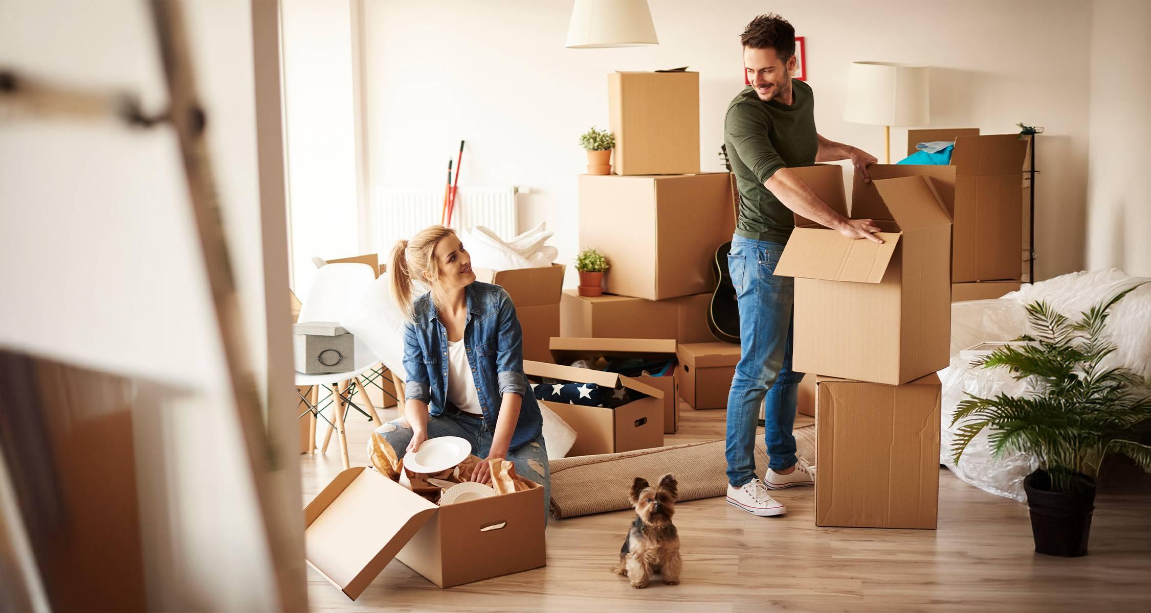 Assistenza professionale per la rimozione