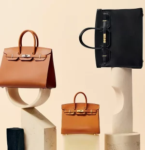 BIRKIN BAGS