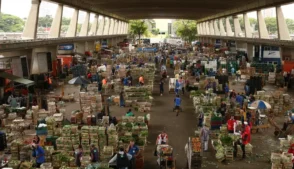 Tarifaço dos Estados Unidos pode comprometer receitas do agronegócio brasileiro.