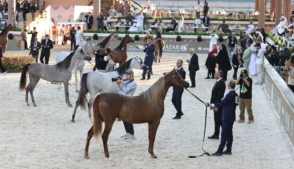 Com investimento de R$ 6,5 milhões, Brasil recebe pela primeira vez o sheikh do Catar em evento de cavalos árabes