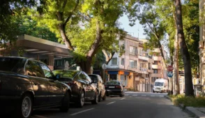 Carros estaciona dos rua com árvores