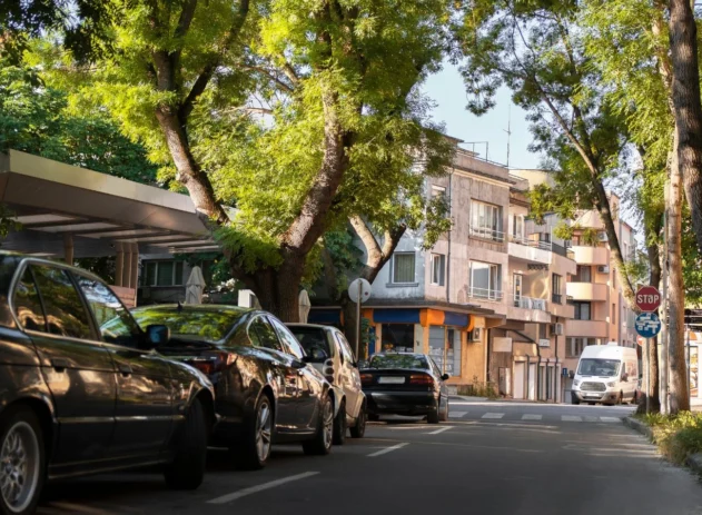 Carros estaciona dos rua com árvores