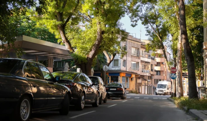 Carros estaciona dos rua com árvores