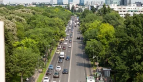 Carros em avenida arborizada