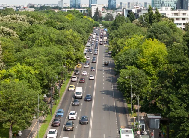 Carros em avenida arborizada
