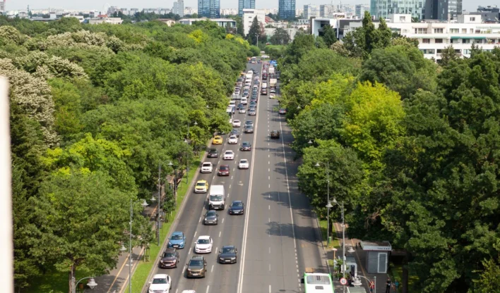 Carros em avenida arborizada