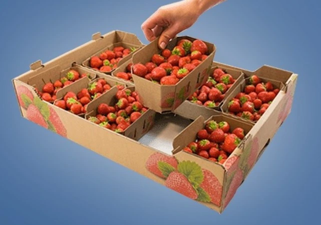 Embalagens adequadas podem reduzir perdas de até 30% no hortifruti brasileiro e evitar prejuízos de até R$ 100 bilhões.