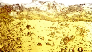 Gasolina da petrobras