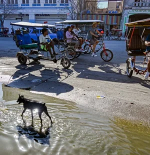 Vários triciclos de táxi circulam por uma rua de Havana em 13 de fevereiro de 2026. A crise de combustíveis em Cuba, e particularmente em Havana, está forçando muitos trabalhadores que dependem da mobilidade diária a abandonar carros a gasolina e recorrer a triciclos elétricos e triciclos de táxi como alternativas mais acessíveis.